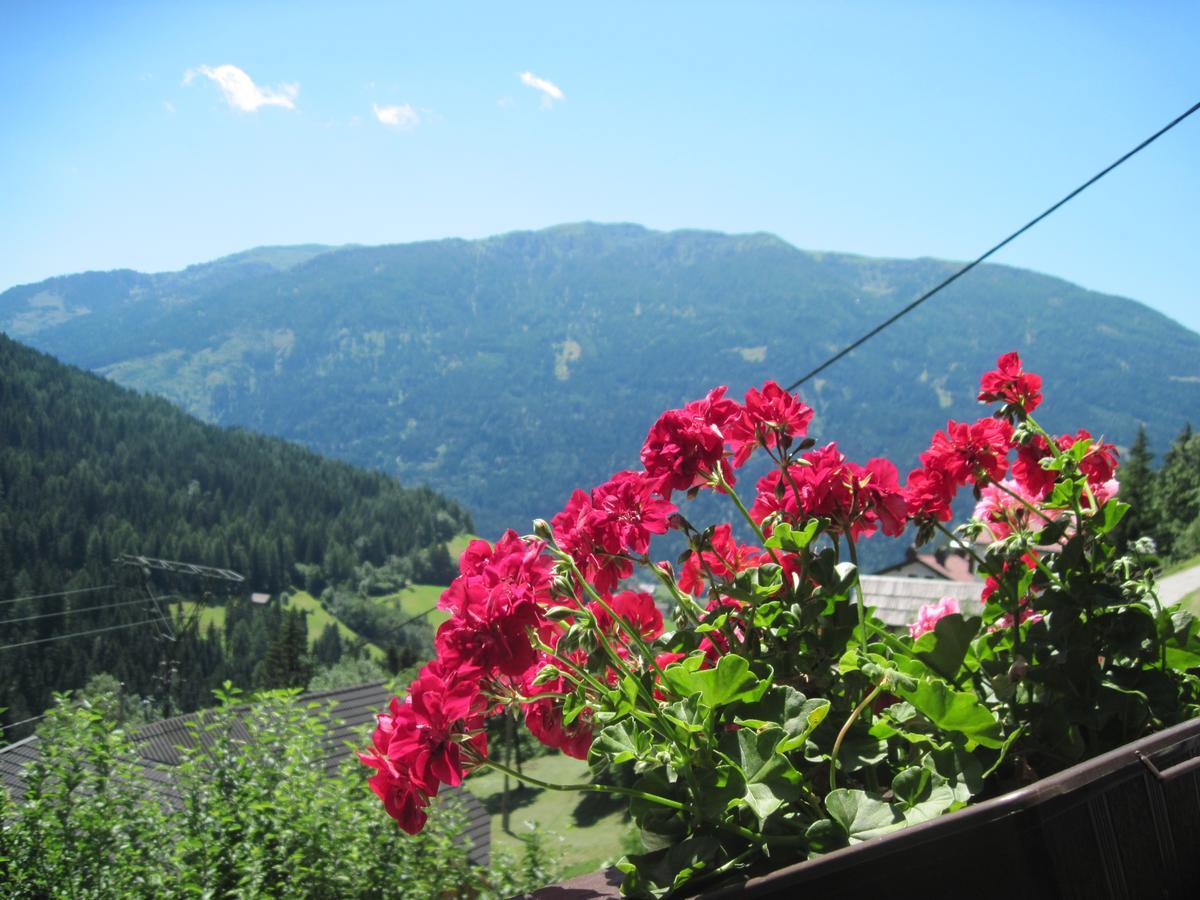 Chalet Catton Two Bedroom Appartement Near Bad Kleinkirchheim Radenthein Luaran gambar